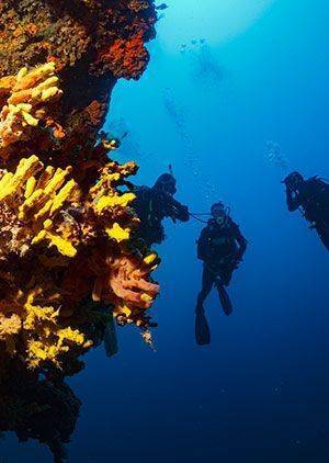 Diving